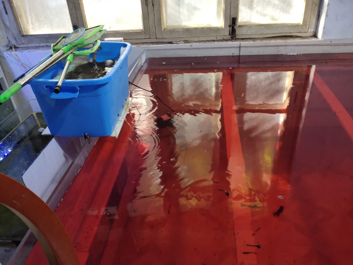 滤材需要用高锰酸钾消毒,高锰酸钾消毒后的滤材还可以用吗