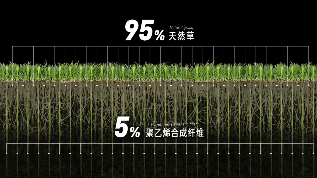 为什么那么多人吐槽中国足球,为啥中国足球比赛少