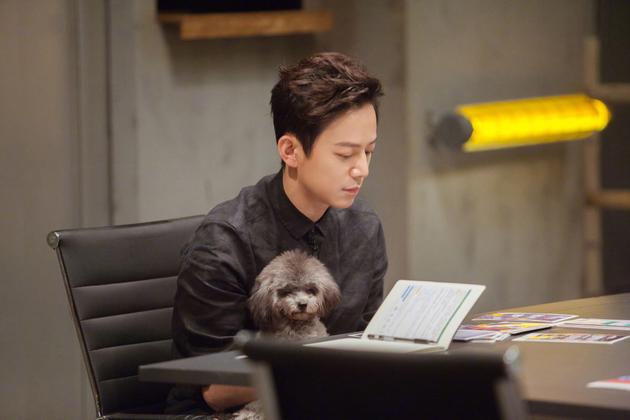 何炅到底有没有结婚,何炅到底结婚了吗