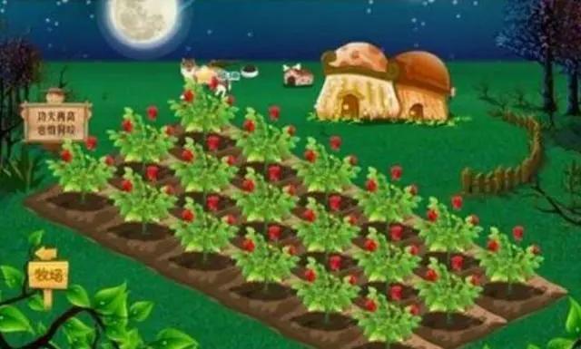 天津考古网站大全,天津考古网站排名