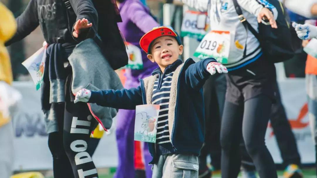 用绿色行动共建美丽家园ppt,用生态行动共建我们的绿色家园