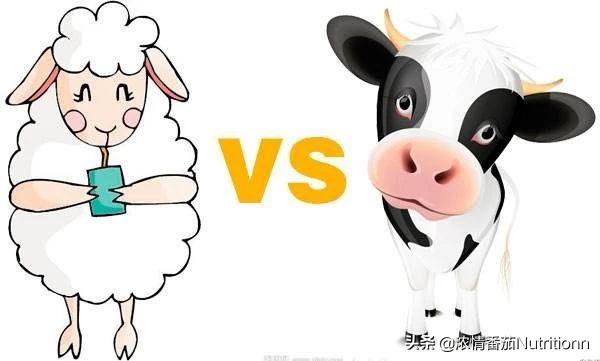 哪个牌子羊奶粉营养价值高,羊奶粉比牛奶粉营养价值更高