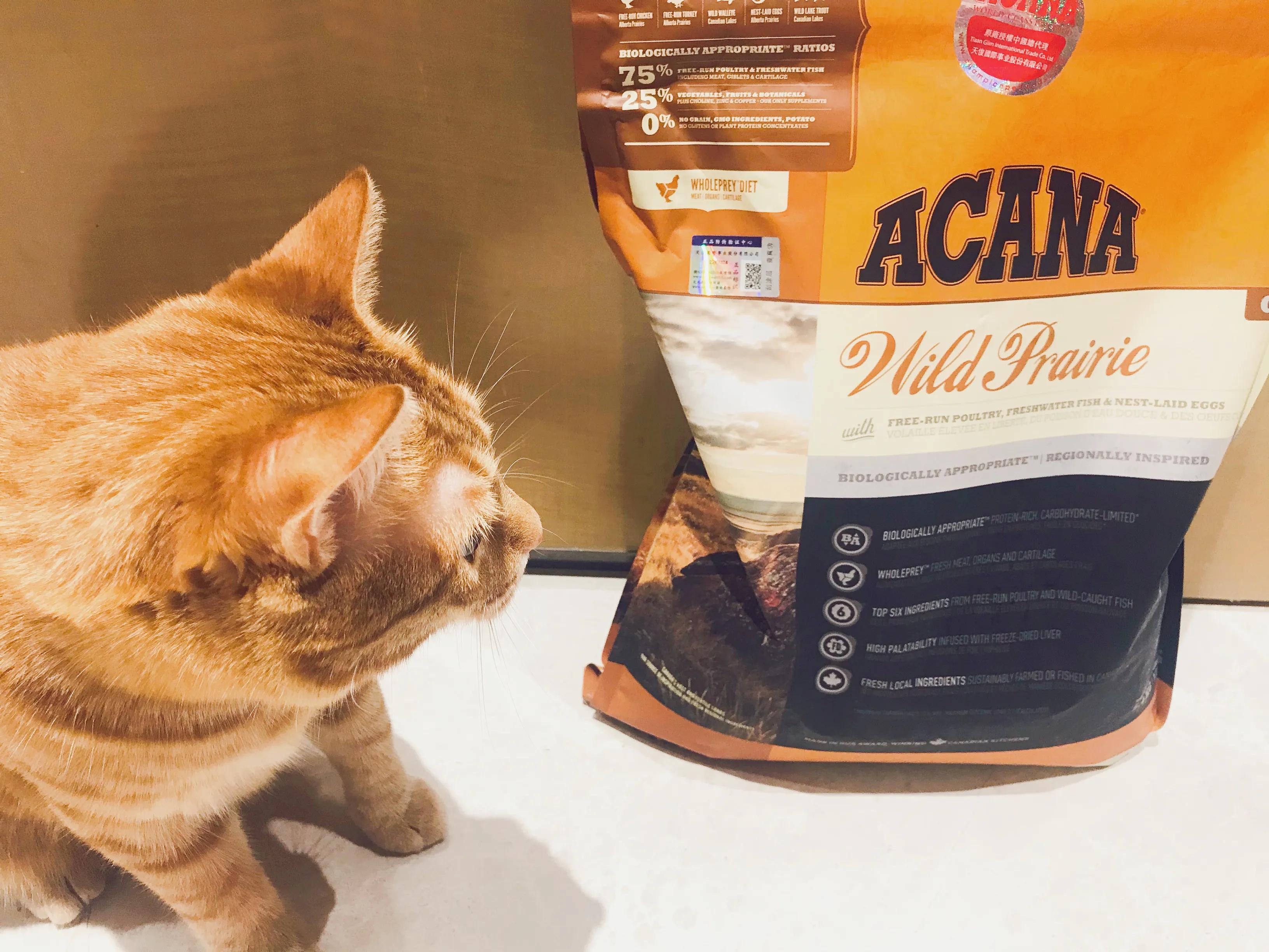 爱肯拿农场盛宴猫粮测评,爱肯拿农场盛宴猫粮推荐