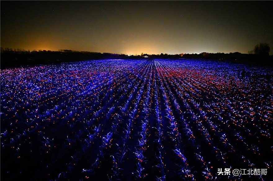 muse设计奖是不是很容易得到,musedesignawards