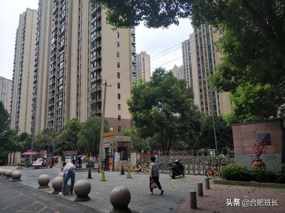 合肥滨湖学区房最新价格,合肥滨湖cbd学区房