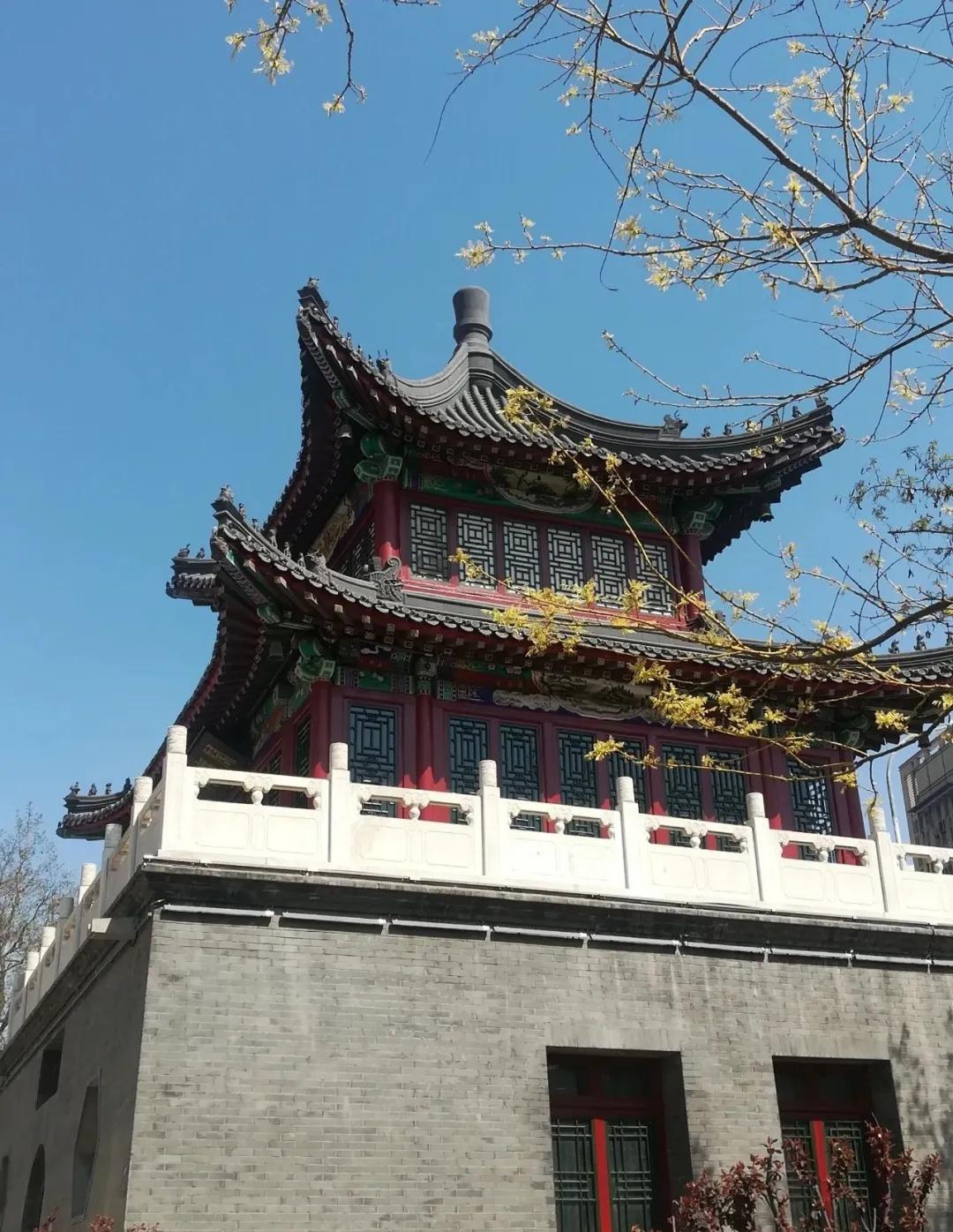 一个不出郑州的踏青好去处,天津春游公园推荐