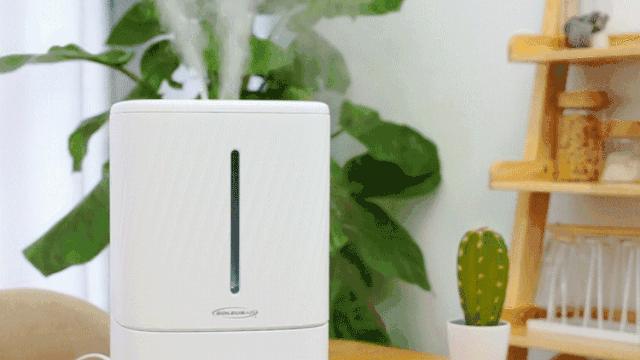 冬天起静电是空气干燥的原因吗,冬天干燥家里有静电怎么办