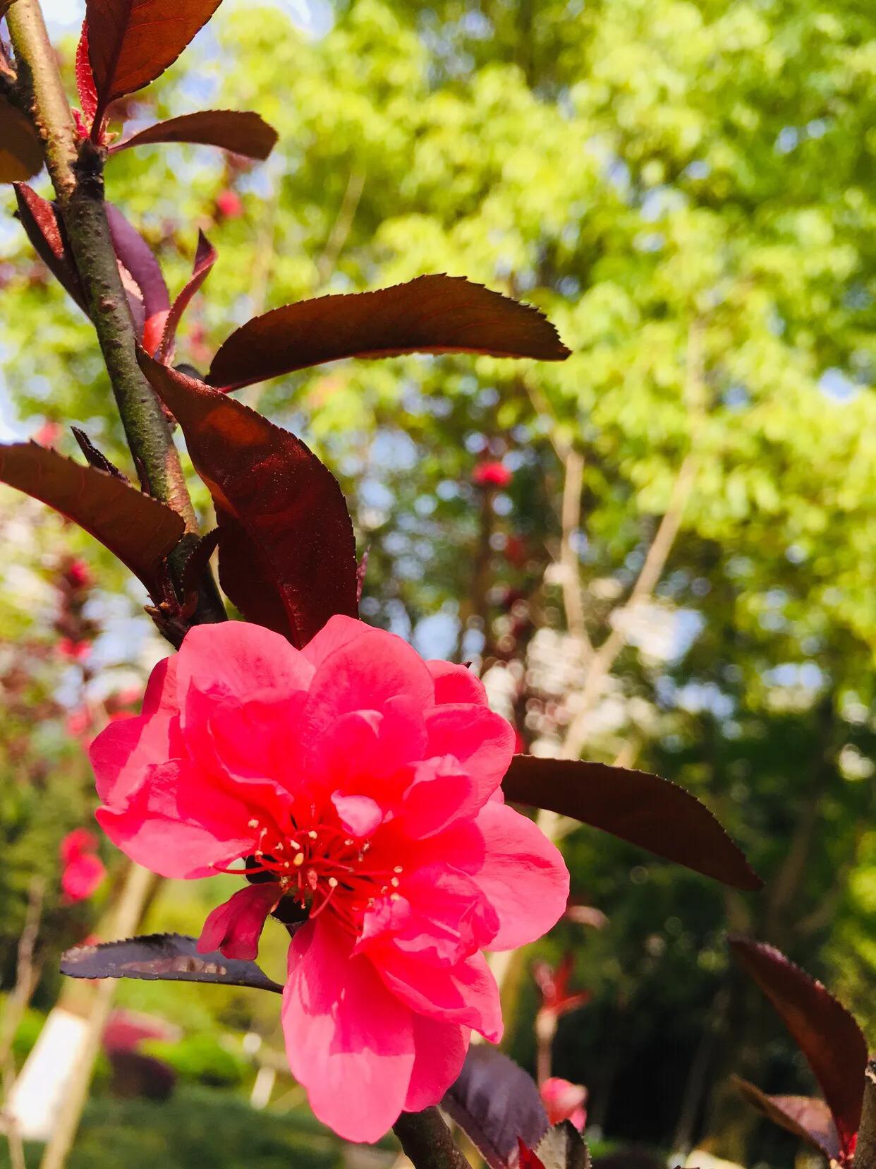 微信聊天的20个潜规则你知道几个 (微信聊天潜规则有哪些)