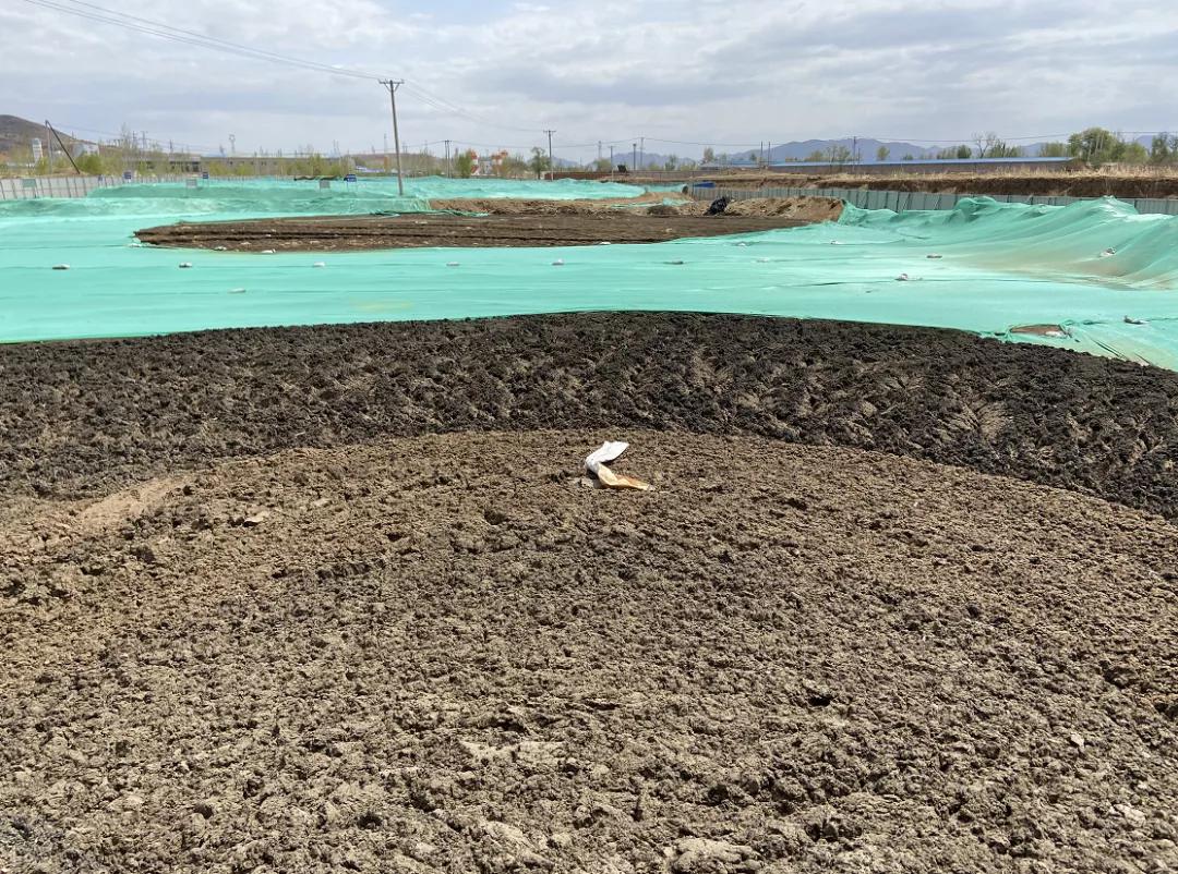 40余万吨生活污泥“临时”堆了13年，谁给他们的勇气？