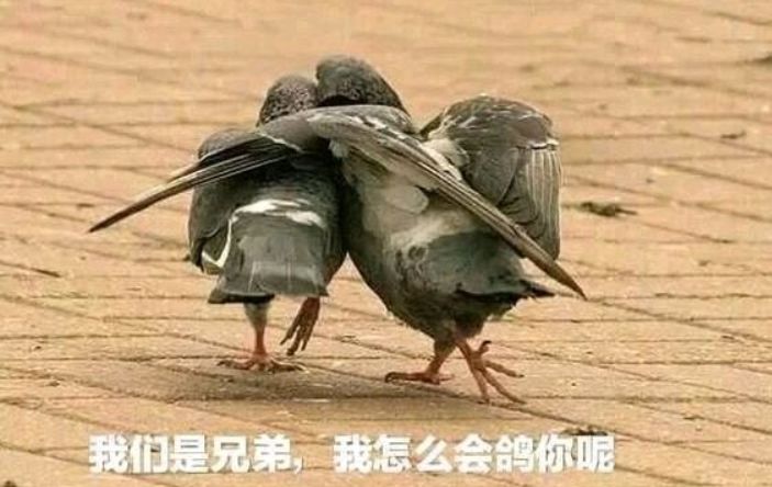 【教程】这个比PPT还要炫酷的汇报软件——毕设答辩的你正需要