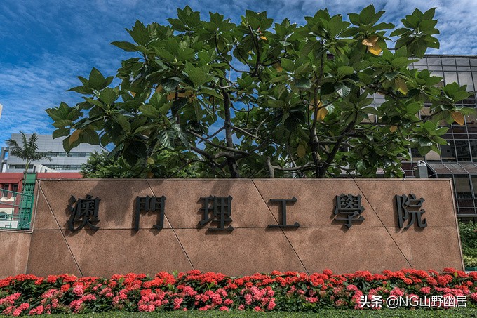 澳门半岛鲜有的公立大学，师资力量居世界前列，却以“学院”命名