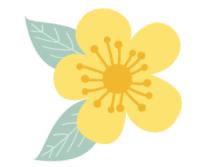 2019泰国泼水节视频,2024年泰国泼水节攻略