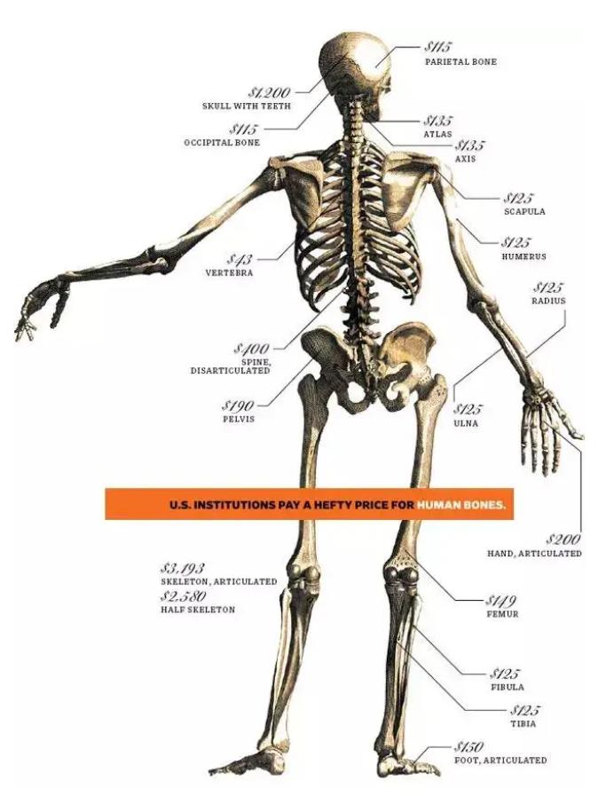印尼富二代用孩子脊骨做手提包,印尼富二代炫富的奢侈品