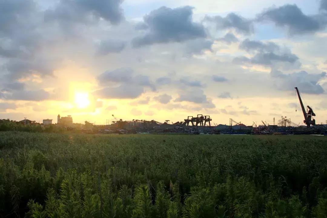 魔都全亚洲最高酒店,魔都第一海景酒店