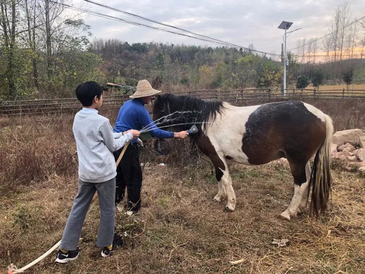 腾讯高管辞职隐居,腾讯元老隐居合肥