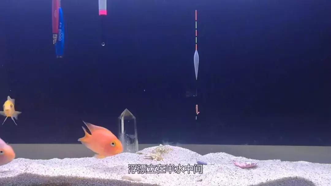 野钓调漂基础知识大全,野钓调漂最佳方法解读