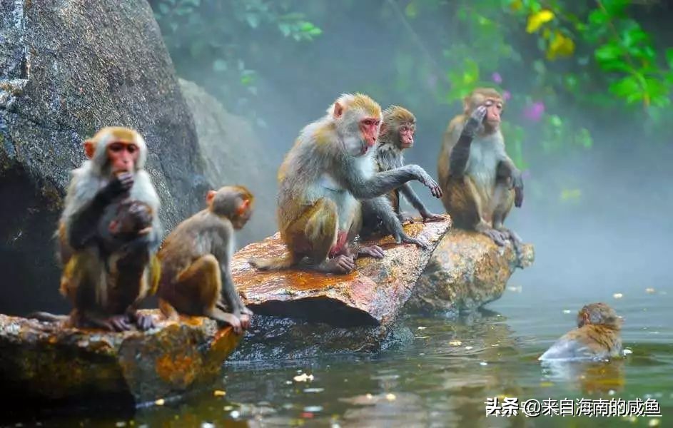 你好，我叫海南，这是我的最新简历