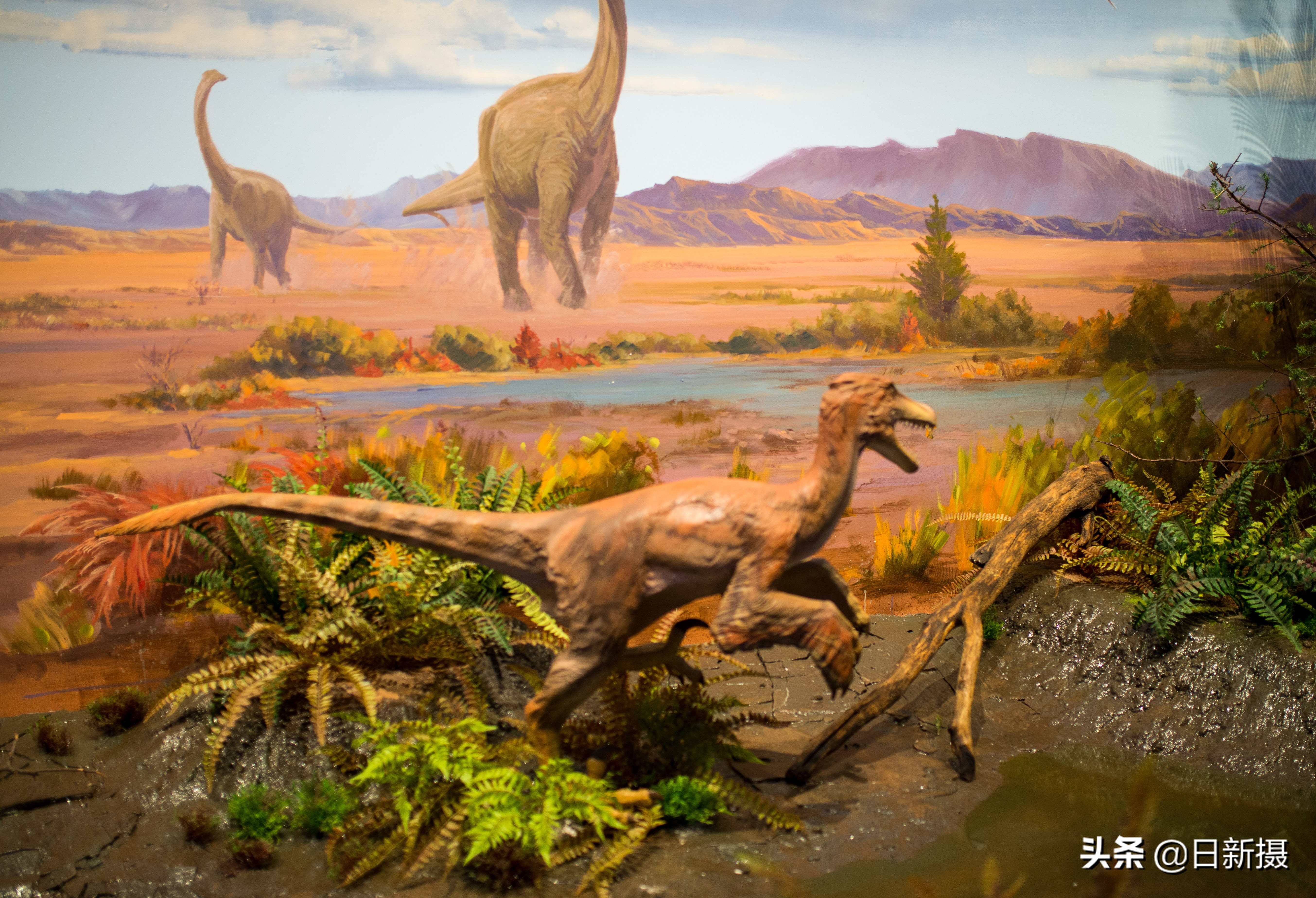 国家海洋博物馆之行,国家海洋博物馆蓝色海洋体验馆