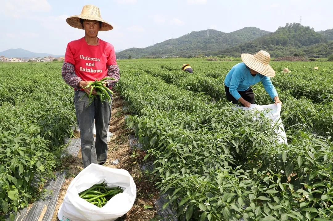 鍗楁鍖楄繍,浜戞诞鍗楁鍖楄繍鐏荆淇濅緵