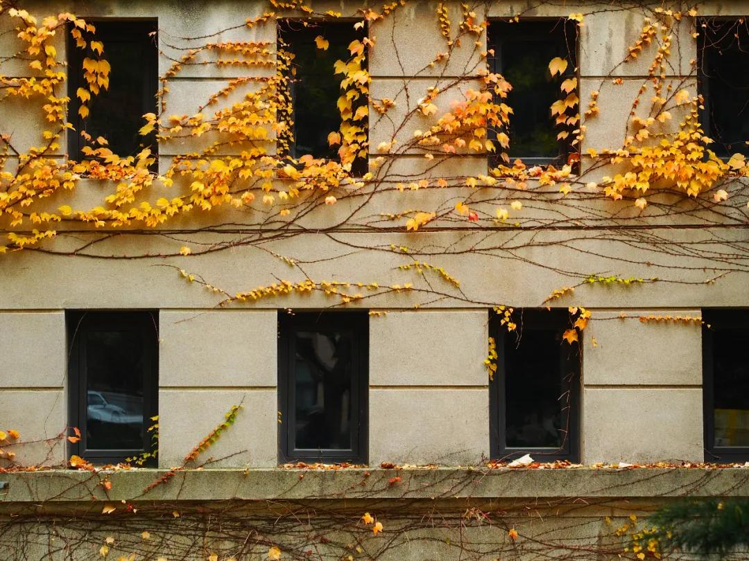 醉美大工秋|读书不觉已秋深，____________