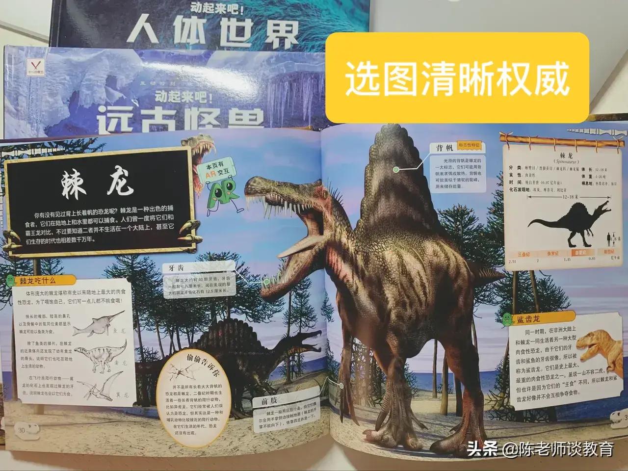 收藏爱好对孩子有什么好处,有收藏爱好的人