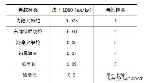 黑曼巴毒蛇的速度,2.5米黑曼巴毒蛇