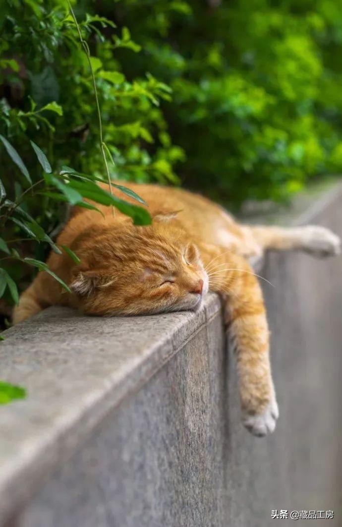 转瞬夏将至,转眼夏日已尽