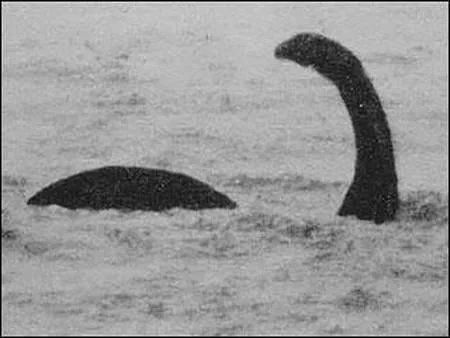 十大未知生物录像,地球十大巨型未知生物