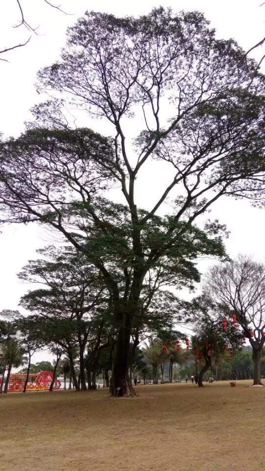 你眼中的珠海城市面貌,怎么评价珠海这个城市