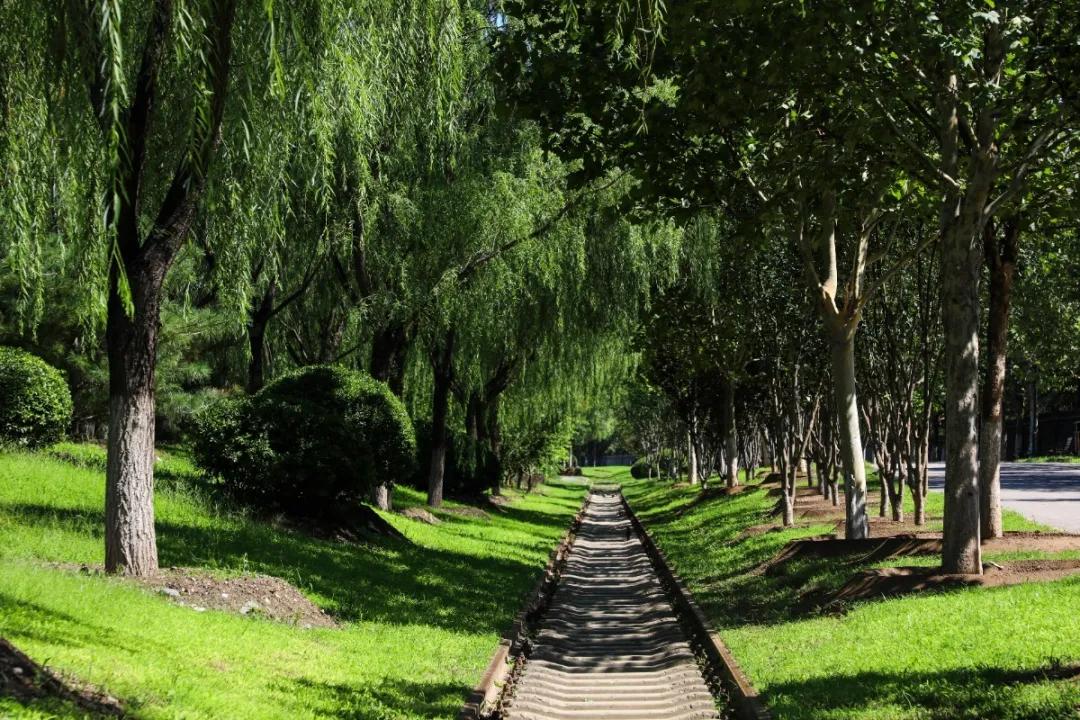 北京人少景美赏秋的公园,北京赏秋中山公园