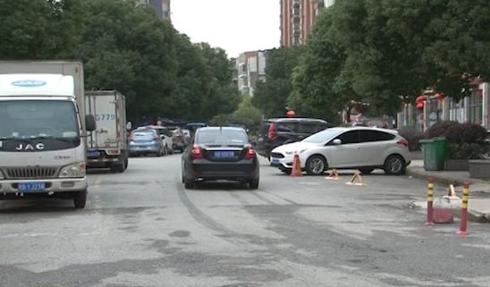 小区业主自己搞绿化,小区业主自己动手