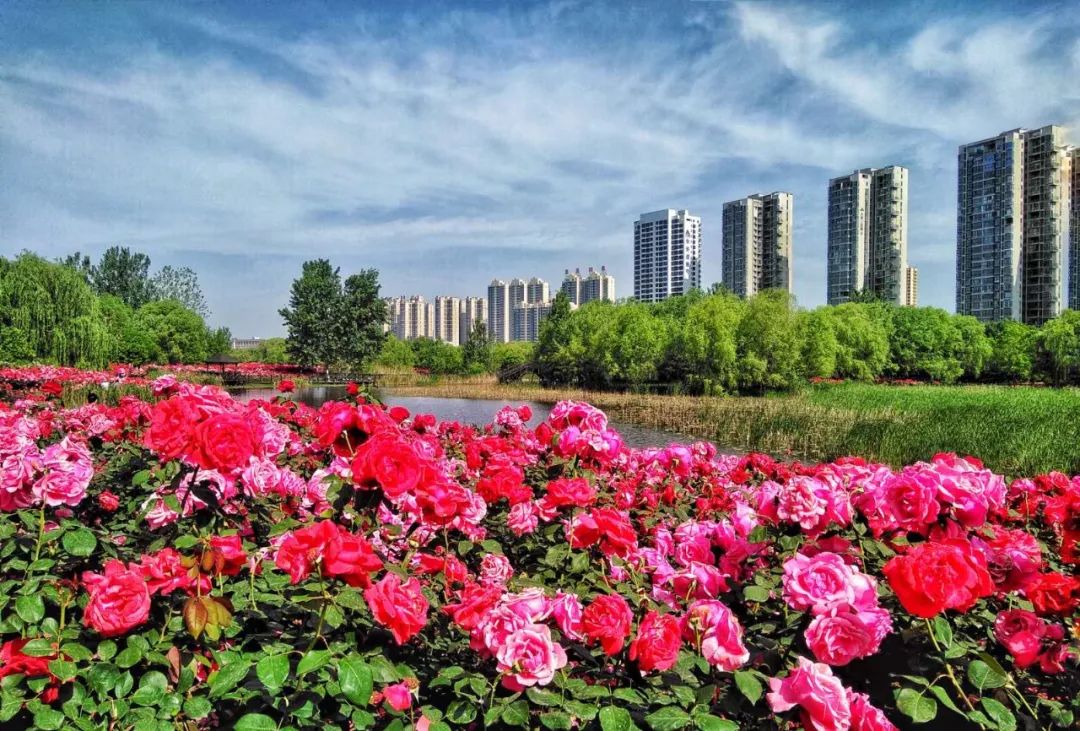 平顶山这座城市到底怎样,平顶山区域中心城市