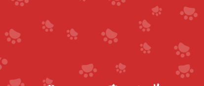 猫牙疼一定是口炎吗,牙疼不是病疼起来真的要人的命