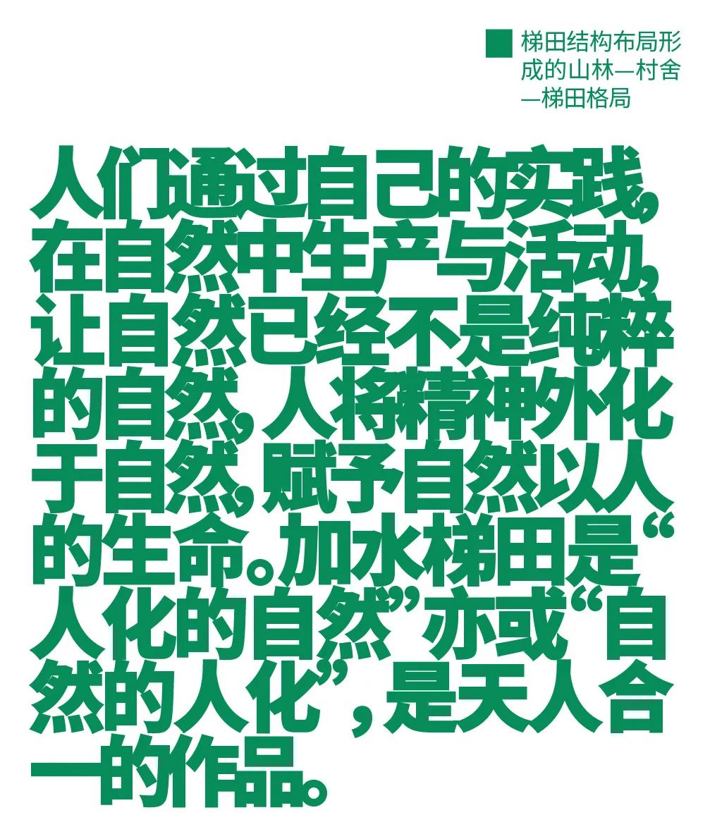 农造田野丨总有一根神经通往乡野|月亮山百里梯田