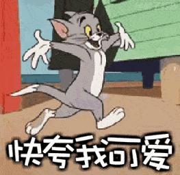 教资小教综合素质必考内容,教师综合素质必考知识点