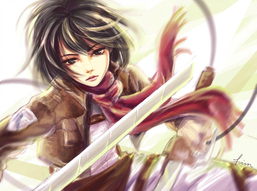 进击的巨人三笠和兵长有关系吗,进击的巨人三笠的真实身份