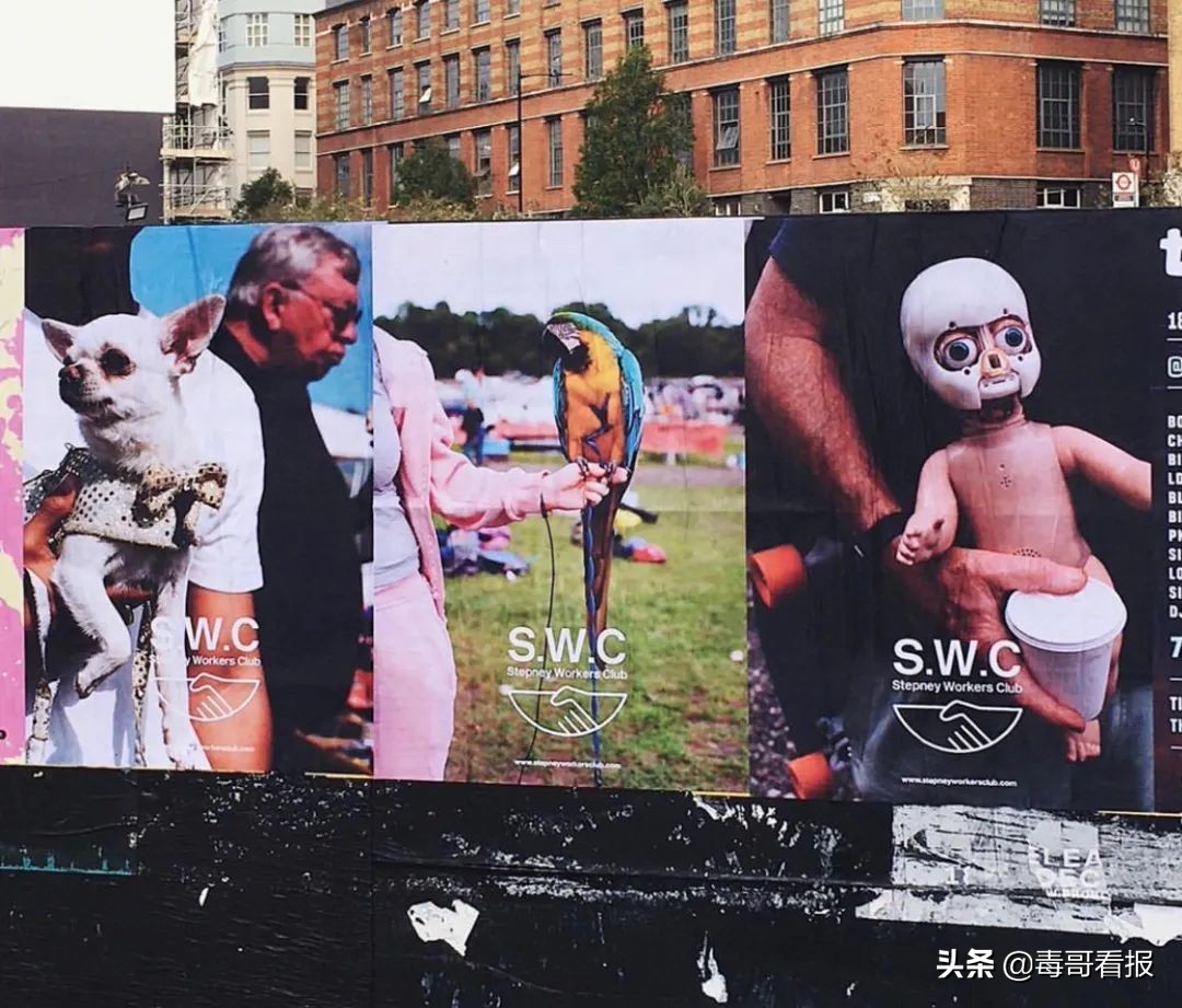 converse和vans哪个舒服,conversevans