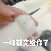 街舞王晨艺创造营2019,街舞少年团传承王晨艺