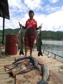 钓鱼竿为什么不绝缘,钓竿哪个牌子好