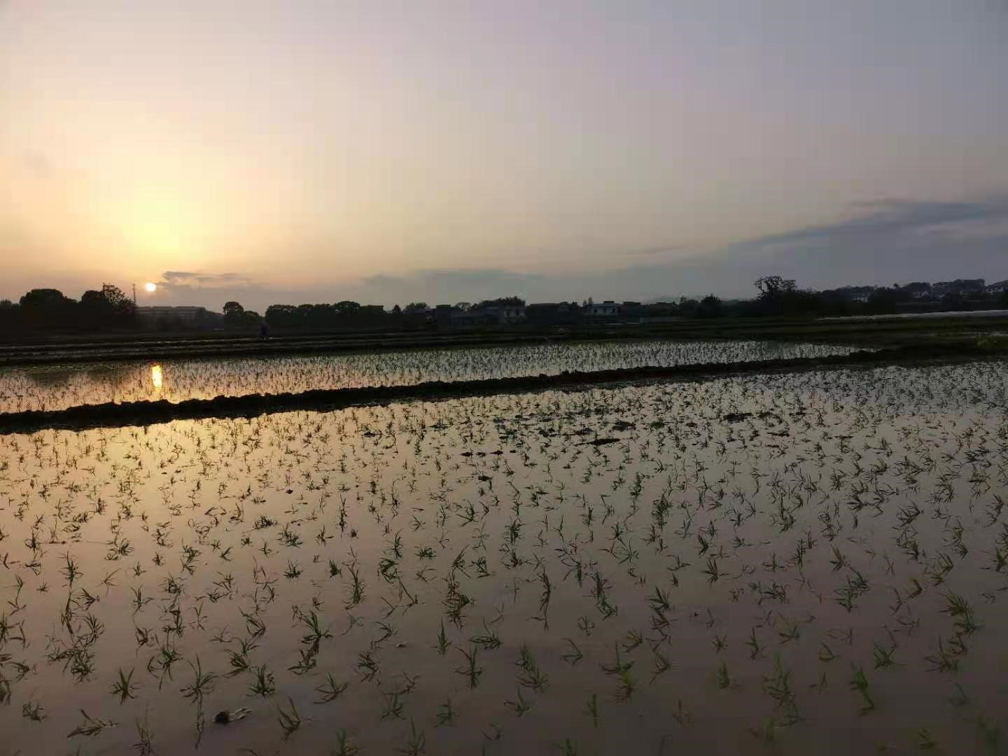 海康威视是什么行业的龙头,海康威视在产业链强势还是弱势