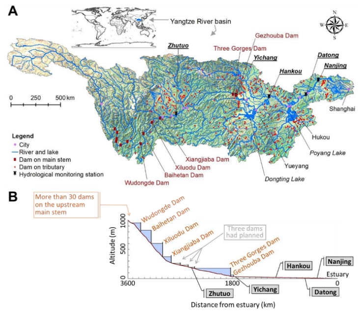 白鲟已经灭绝，中华鲟和长江鲟还好吗？