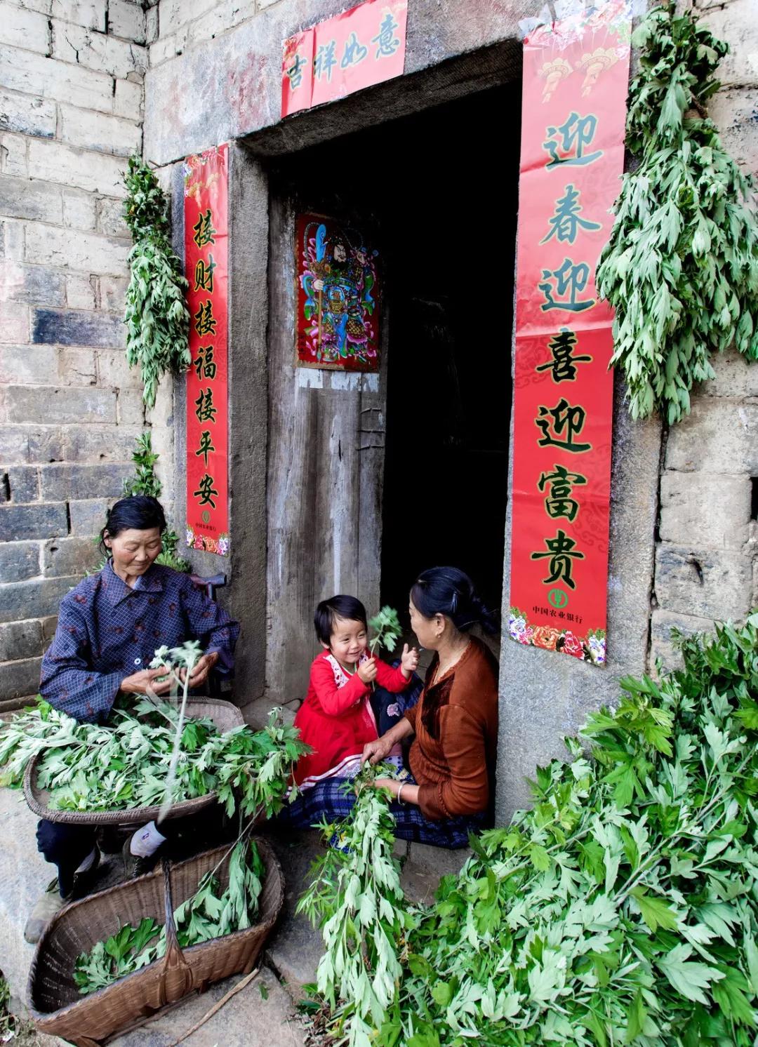 时珍验方艾灸贴价格,蕲艾堂时珍验方艾灸养生馆