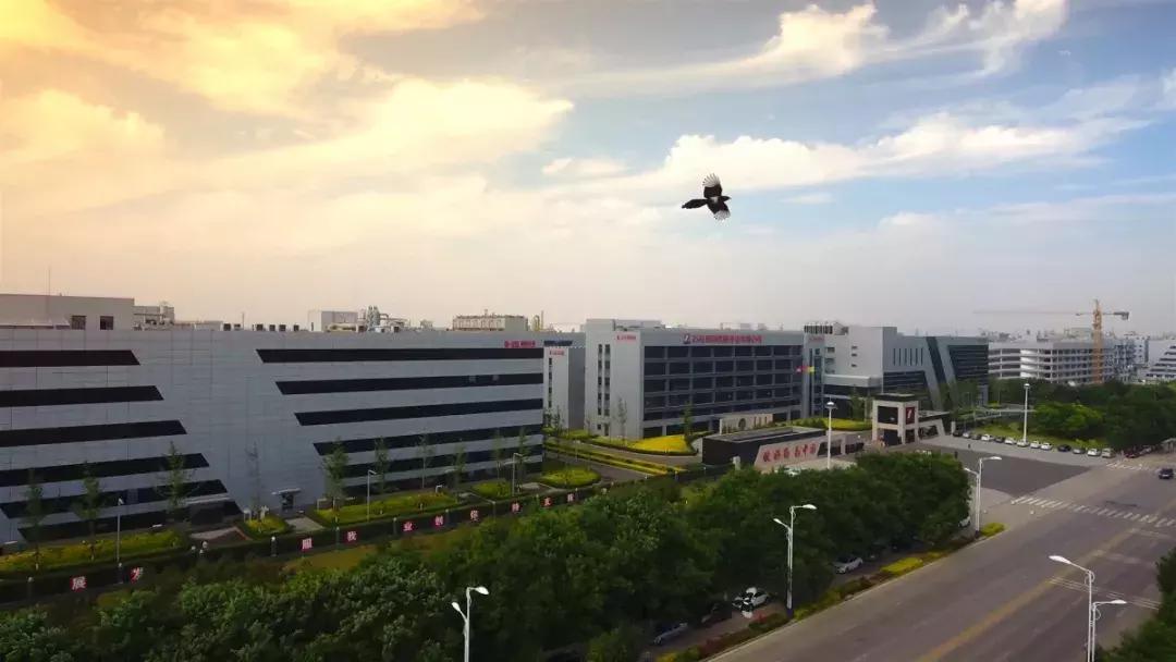 石药集团世界排名,多柔比星脂质体注射液石药集团