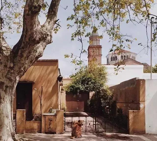 心灵鸡汤励志正能量短句人生感悟,心灵鸡汤女人励志语录正能量