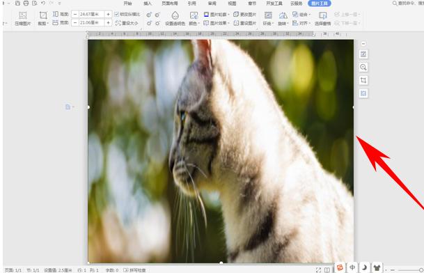 word文档怎样将图片铺满表格,worda3纸怎么缩小打印到a4纸上