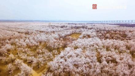 绌烘腐鑺辩敯濂界編,绌烘腐鑺辩敯鐪熺編