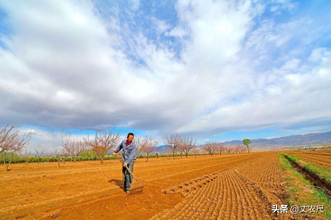 农村土地流转贷款,农民土地流转后补贴归谁
