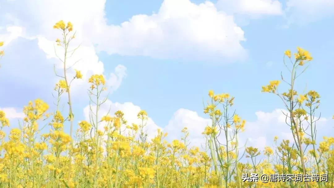 十首闲适的诗句,关于田园生活的诗词100首