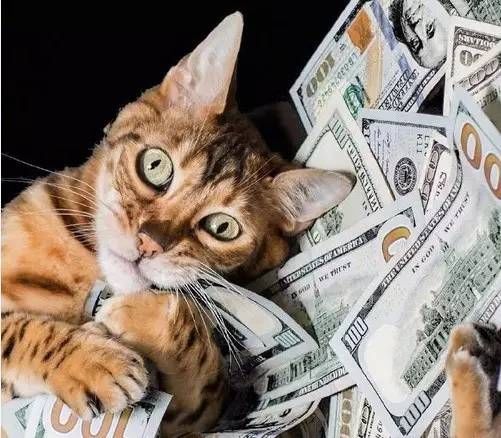 吃人肉喝人血的,到底是资本还是人本身?