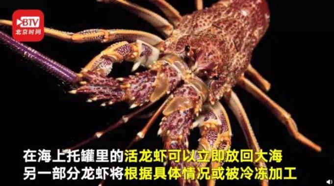 日本墓碑进口,日本的墓碑断货